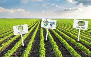 qual-e-a-finalidade-das-placas-de-campo