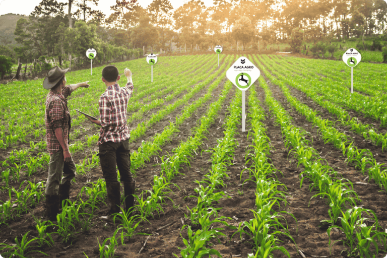 Como as placas de campo podem aumentar a segurança agrícola?