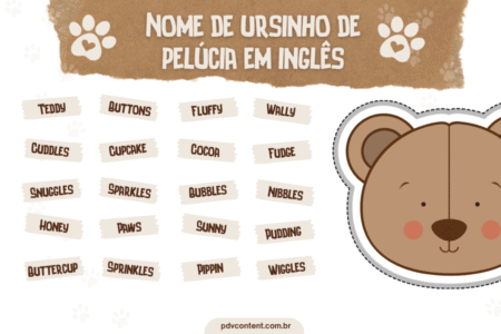 Nomes para Ursos de Pelúcia: 390 Ideias de Nomes para ursinhos